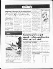 Síða 8