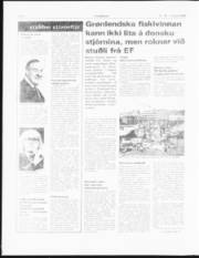 Síða 6