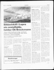 Síða 3