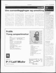 Síða 4