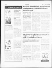 Síða 6
