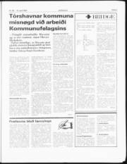 Síða 3