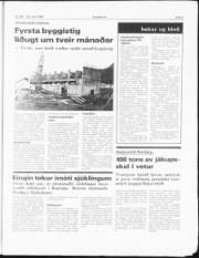 Síða 3