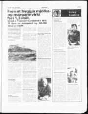 Síða 5