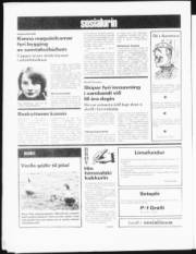 Síða 12