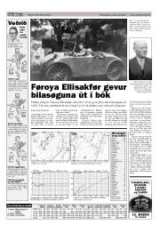 Síða 17