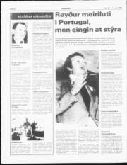 Síða 6