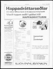 Síða 6