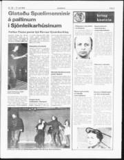 Síða 3