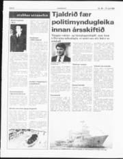 Síða 6