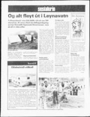 Síða 8