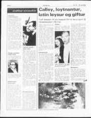Síða 6