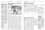 Síða 11