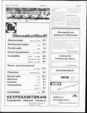 Síða 11