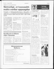 Síða 3