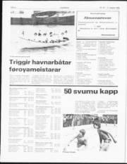 Síða 6