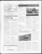 Síða 5