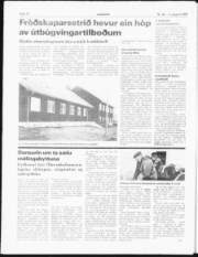 Síða 12