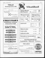 Síða 11