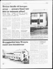 Síða 3
