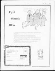 Síða 8