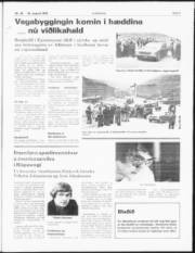 Síða 3