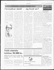 Síða 4