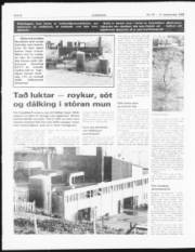 Síða 8