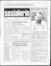 Síða 1