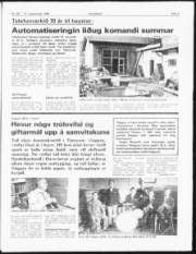 Síða 3
