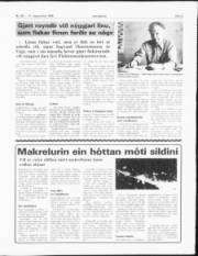 Síða 5