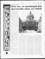 Síða 6