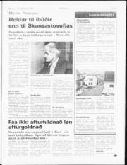 Síða 3