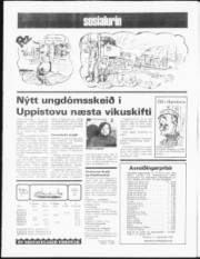 Síða 12