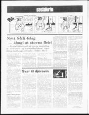 Síða 8