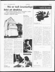 Síða 11