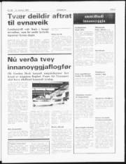Síða 3