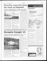 Síða 3