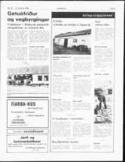 Síða 5