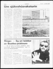 Síða 8