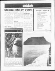 Síða 12