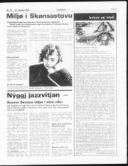 Síða 7