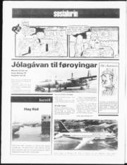 Síða 12