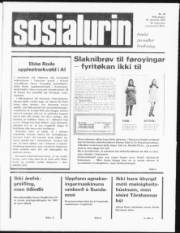 Síða 1