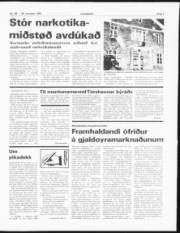 Síða 7