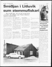 Síða 7