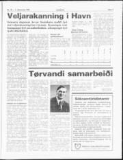 Síða 11
