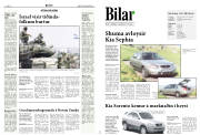 Síða 8