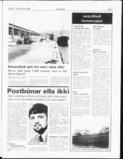 Síða 3