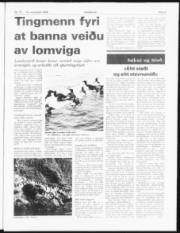 Síða 3